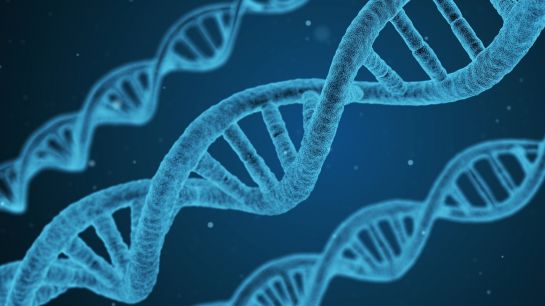 DNA wiele mówi o chorobie onkologicznej